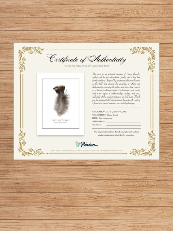 easternTurkeyFeatherCOA Certificate of Authenticity for Eastern Turkey art print.