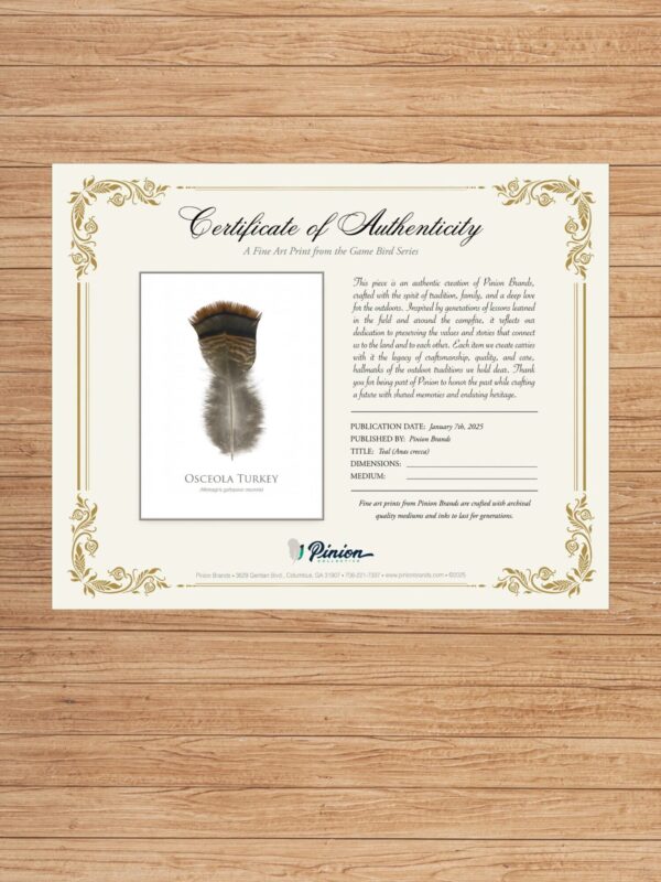 osceolaTurkeyFeatherCOA Certificate of Authenticity with feather image
