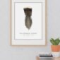 Mounted turkey feather art in wooden frame