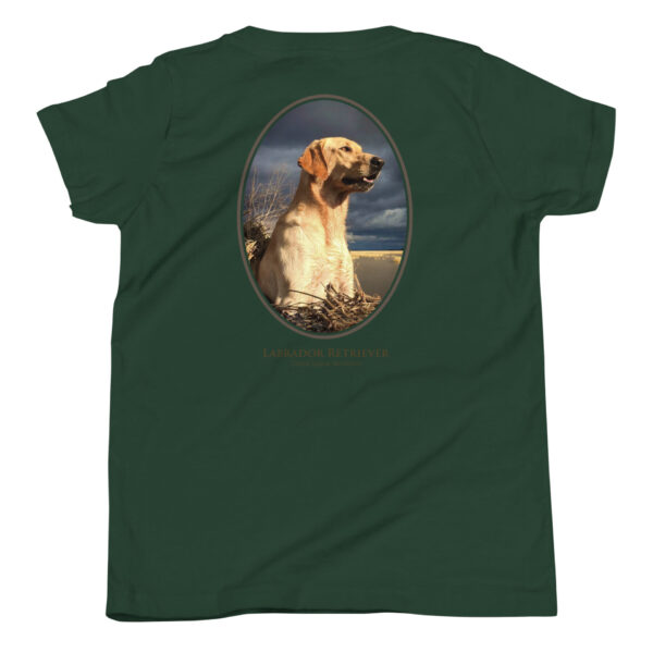 youth-staple-tee-forest-back-69a6e3318ffc7.jpg Green t-shirt with Labrador Retriever graphic