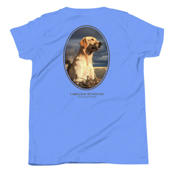 youth-staple-tee-heather-columbia-blue-back-69a6e33190080.jpg Blue T-shirt with Labrador Retriever design