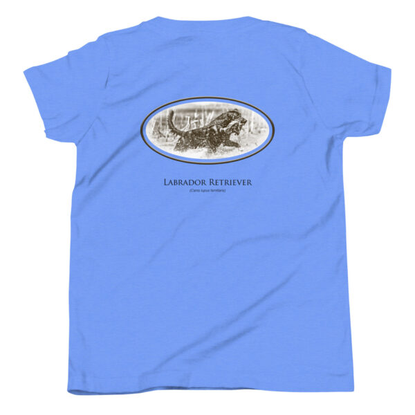 youth-staple-tee-heather-columbia-blue-back-69a6e70446a34.jpg Blue shirt with Labrador Retriever graphic