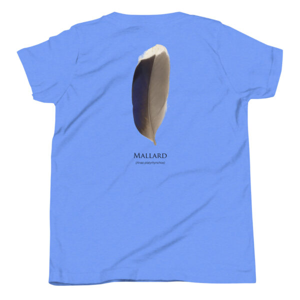 youth-staple-tee-heather-columbia-blue-back-69a6e90bce8ef.jpg Blue shirt with mallard feather design.