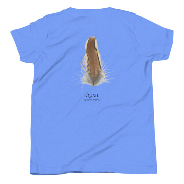 youth-staple-tee-heather-columbia-blue-back-69a6ed9fbc536.jpg Blue shirt with quail feather illustration.
