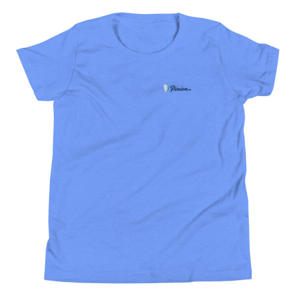 youth-staple-tee-heather-columbia-blue-front-69a6e90bcd6d6.jpg Blue T-shirt with small feather logo design.