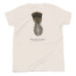 Osceola turkey feather graphic on white t-shirt