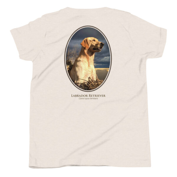 youth-staple-tee-heather-dust-back-69a6e331900fb.jpg Labrador Retriever graphic on white t-shirt.