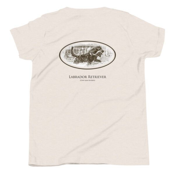 youth-staple-tee-heather-dust-back-69a6e70446aad.jpg T-shirt with Labrador Retriever design
