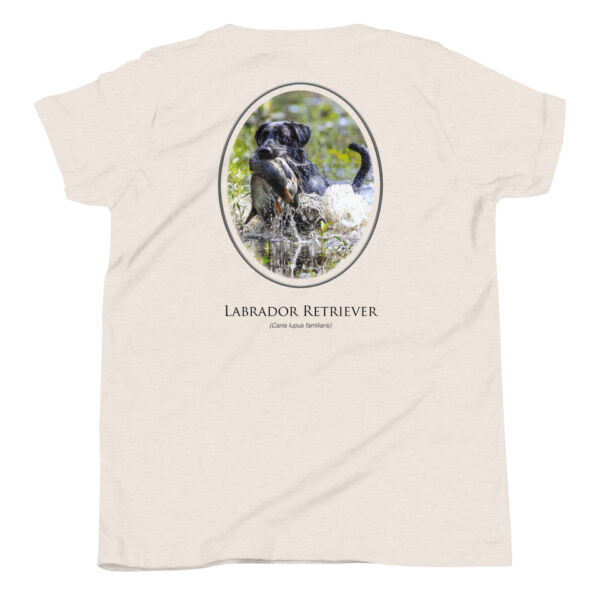 youth-staple-tee-heather-dust-back-69a6ec6ea2bc7.jpg T-shirt with Labrador Retriever and duck image.