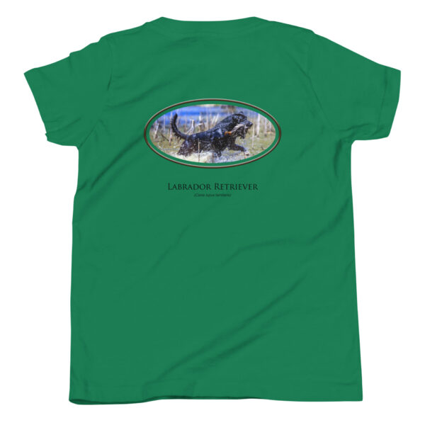 youth-staple-tee-kelly-back-69a6dfe4e6ac0.jpg Green shirt with Labrador Retriever design.