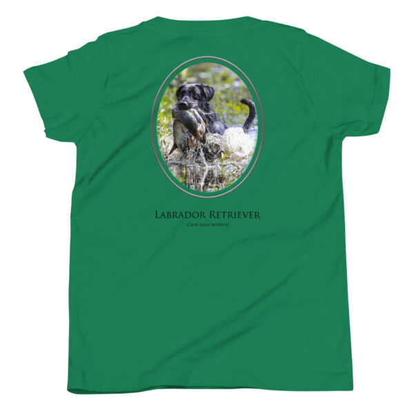 youth-staple-tee-kelly-back-69a6ec6ea2c36.jpg Green t-shirt with Labrador Retriever design