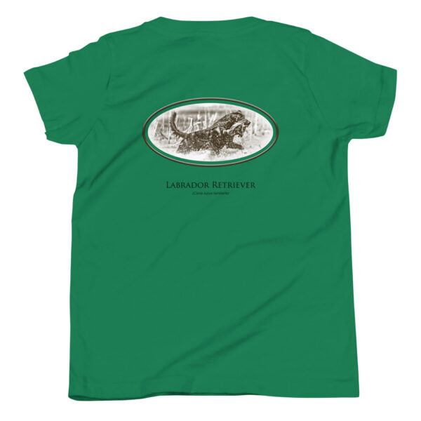 Green shirt with Labrador Retriever design