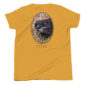 Boykin Spaniel shirt with hunting design