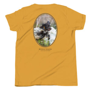 Boykin Spaniel running through water on yellow shirt.