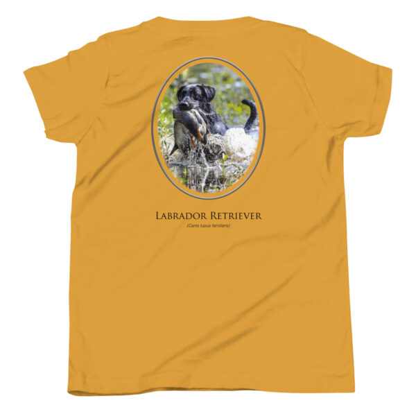 youth-staple-tee-mustard-back-69a6ec6ea2ca2.jpg Yellow T-shirt with Labrador Retriever design.