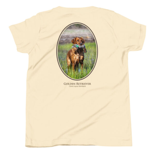 youth-staple-tee-natural-back-69a6e1bcbceba.jpg Golden Retriever with bird on beige shirt.