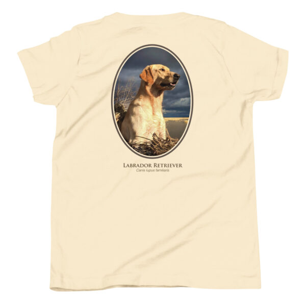 youth-staple-tee-natural-back-69a6e331903f5.jpg T-shirt with Labrador Retriever photo and text