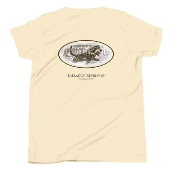youth-staple-tee-natural-back-69a6e70446d60.jpg Labrador Retriever t-shirt design with dog illustration.