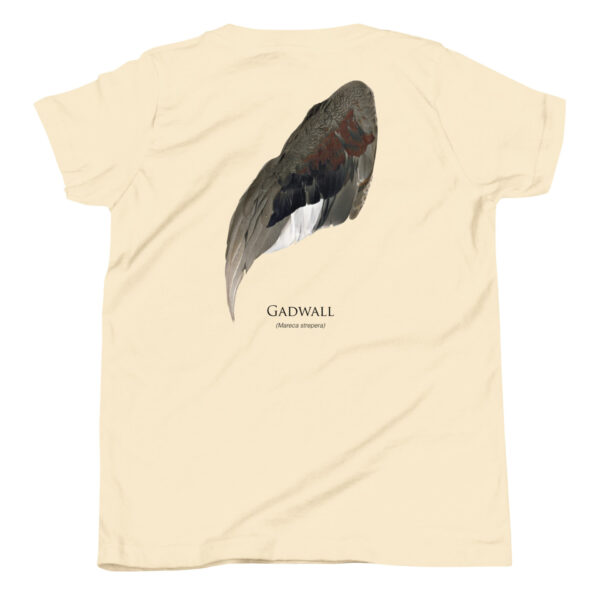 youth-staple-tee-natural-back-69a6eb0454863.jpg T-shirt featuring Gadwall duck feather illustration.