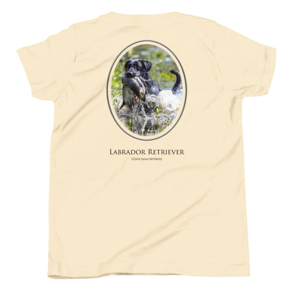 youth-staple-tee-natural-back-69a6ec6ea2e54.jpg Labrador Retriever graphic on beige T-shirt.