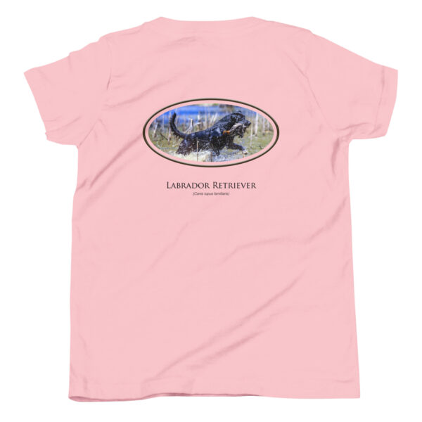 Pink shirt with Labrador Retriever graphic.
