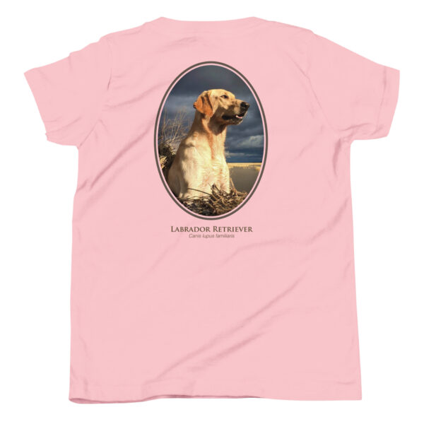 youth-staple-tee-pink-back-69a6e33190243.jpg Pink shirt with Labrador Retriever illustration