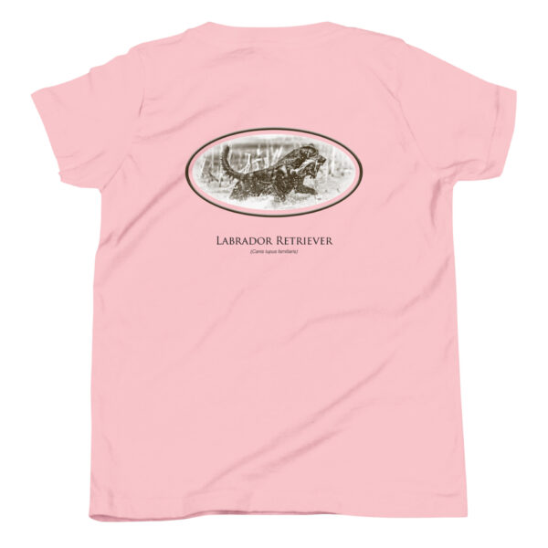 youth-staple-tee-pink-back-69a6e70446c06.jpg Pink shirt with Labrador Retriever design.