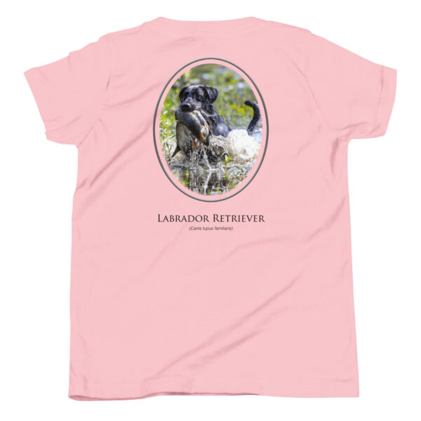 youth-staple-tee-pink-back-69a6ec6ea2d0f.jpg Pink t-shirt with Labrador Retriever design.