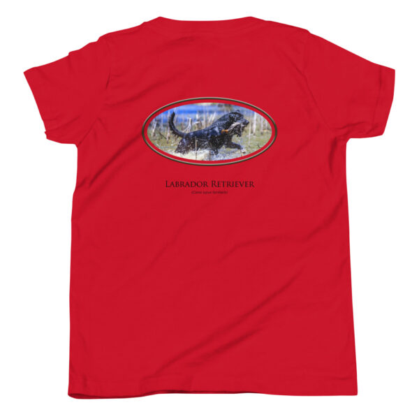 youth-staple-tee-red-back-69a6dfe4e6c44.jpg Red shirt with Labrador Retriever graphic