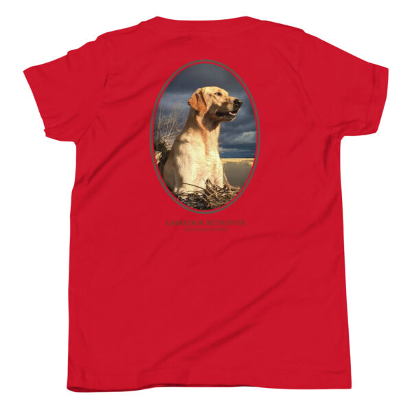 youth-staple-tee-red-back-69a6e331902d4.jpg Red shirt with Labrador Retriever photo