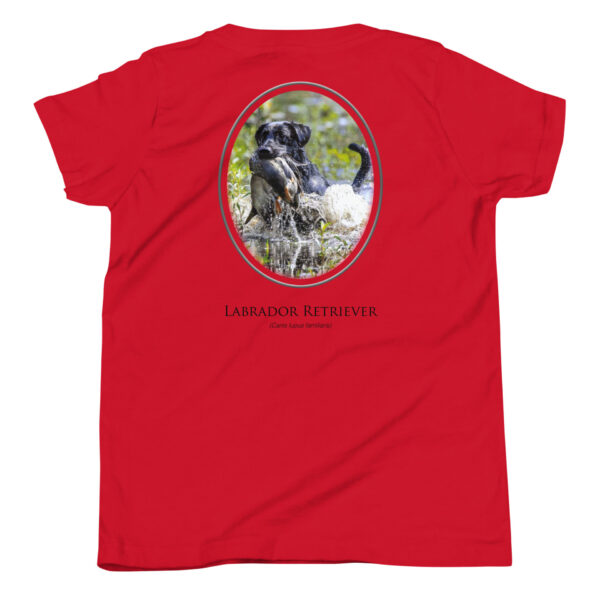 youth-staple-tee-red-back-69a6ec6ea2d80.jpg Red T-shirt with Labrador Retriever design