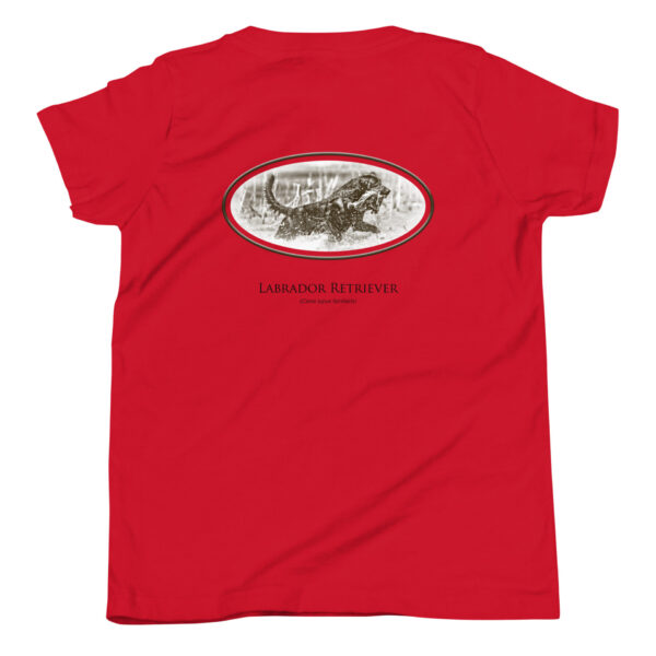 youth-staple-tee-red-back-69a6ee0ac75b6.jpg Red T-shirt with Labrador Retriever graphic.