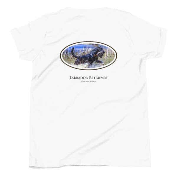 youth-staple-tee-white-back-69a6dfe4e6cc7.jpg White t-shirt with Labrador Retriever image.