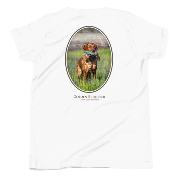youth-staple-tee-white-back-69a6e1bcbce4f.jpg Golden Retriever with duck graphic on t-shirt.