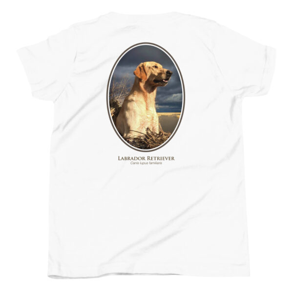 White shirt with Labrador Retriever image