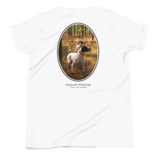 youth-staple-tee-white-back-69a6e3e7b92dc.jpg English Pointer dog in tall grass field.