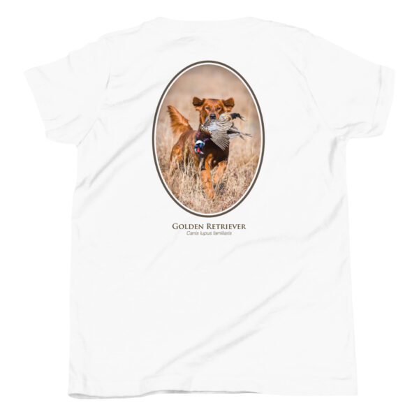 youth-staple-tee-white-back-69a6e52c17098.jpg Golden Retriever fetching bird in field on t-shirt