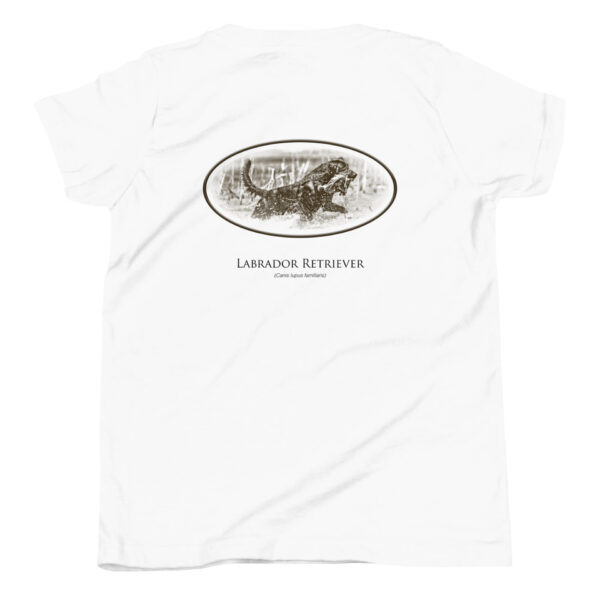 youth-staple-tee-white-back-69a6ee0ac7624.jpg White t-shirt with Labrador Retriever print.