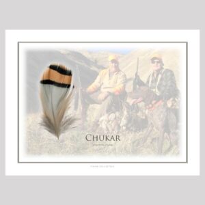Custom Feather Art Print